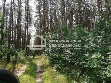 Działka rolna na sprzedaż Załęże 6 400m2 Foto 3