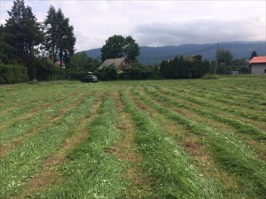 działka na sprzedaż 1000m2 działka Wilkowice