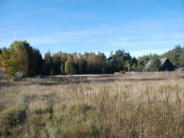 Działka siedliskowa na sprzedaż Krzyż, Xxx, XXX, Xxx 12 001m2 Foto 3