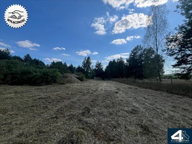 Zapraszam do zakupu działki 4 811 m² z lasem i domkiem w Umerze działka Umer, Umer