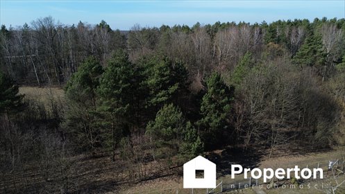 Leśna działka z możliwością zabudowy – Chochół 2405 m² działka Chochół