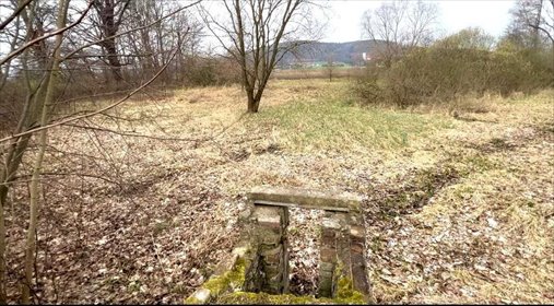 Sprzedam działkę 67 arów z możliwością podziału w Tuszynie działka Tuszyn, Tuszyn