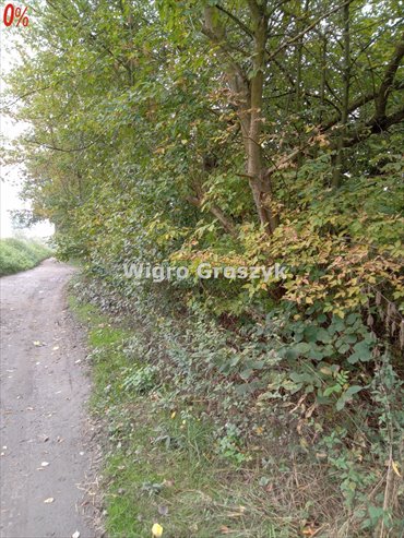 Na sprzedaż działka 26 310 m² w Kępie Kiełpińskiej działka Kępa Kiełpińska, Podwale