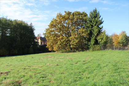 działka na sprzedaż 3600m2 działka Dobranowice