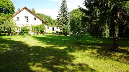 Na sprzedaż przestronne siedlisko 1,1020 ha w Kędrzynie dom Kędrzyno