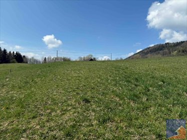 Działka 6000 m² z możliwością zabudowy w Męcinie działka Męcina
