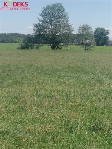 Polecam dużą działkę 3100 m² w Karolinowie z dostępem do mediów działka Karolinowo