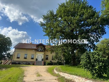 Gospodarstwo 287 ha z zabudową i bydłem – Sigajny działka Sigajny