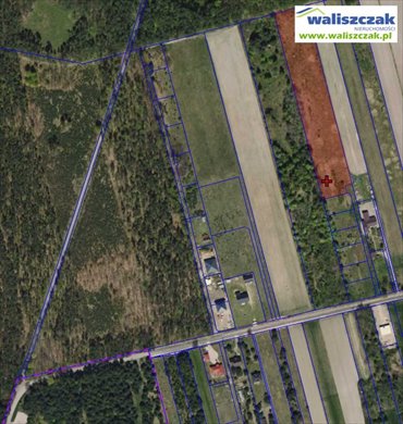 działka na sprzedaż 11684m2 działka Owczary