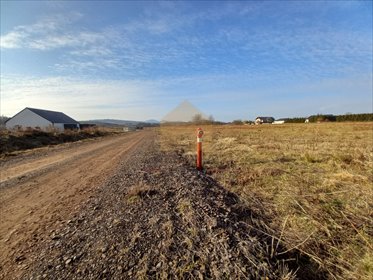 działka na sprzedaż 2100m2 działka Modliszów