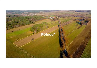Działka rolno-budowlana 14,2 ha z dostępem do asfaltu działka Orłowicze