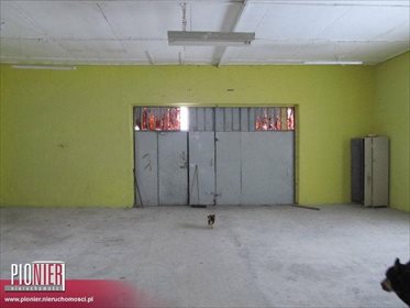 Lokal użytkowy na wynajem Pilchowo 400m2 Foto 6