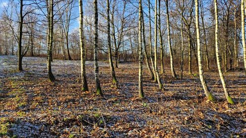 działka na sprzedaż 700m2 działka Koszyce Wielkie