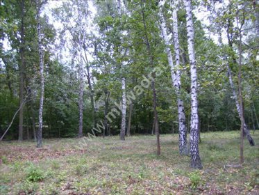 działka na sprzedaż 3000m2 działka Milanówek, Polesie, Zadzwoń. 515200031 najwięcej ofert w regionie!