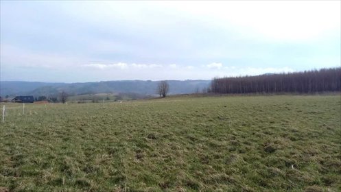 działka na sprzedaż 1377m2 działka Walim, Niedźwiedzica