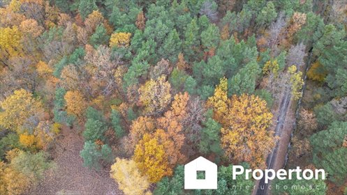 działka na sprzedaż 1287m2 działka Ostrówek, Kościuszki