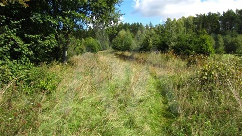 Działka siedliskowa na sprzedaż Pawłowo, Znana 44 408m2 Foto 6