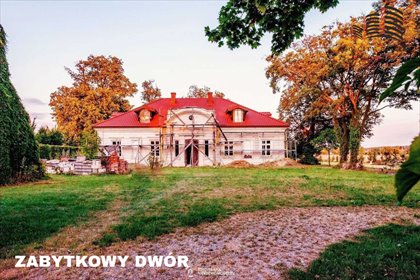 Zabytkowy dwór z XIX w. na 1,43 ha - potencjał inwestycyjny lokal użytkowy Wólka