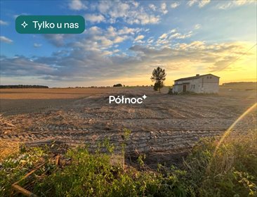 Dom z dużą działką i potencjałem inwestycyjnym dom Teodorów Wielki
