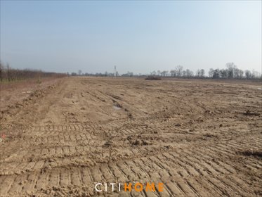 działka na sprzedaż 50000m2 działka Karczew