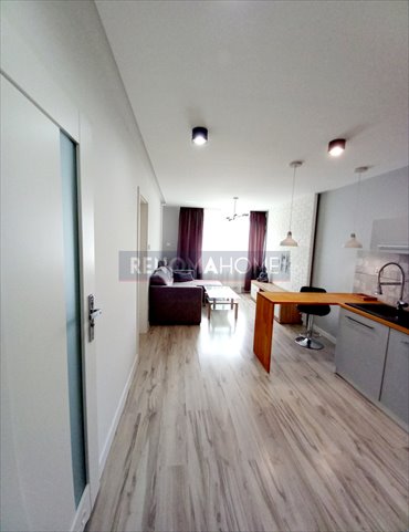 mieszkanie na wynajem 35m2 mieszkanie Lubin