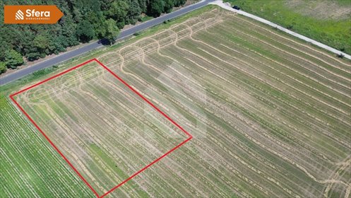 Na sprzedaż działka 3409 m² z warunkami zabudowy w Dąbrowie Wielkiej działka Dąbrowa Wielka