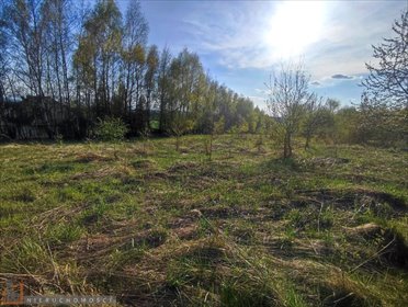 Działka rolna na sprzedaż Brzozówka Korzkiewska 5 600m2 Foto 3