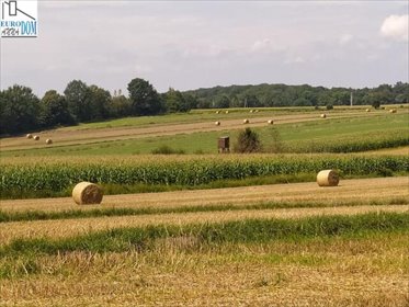 działka na sprzedaż 636m2 działka Laryszów