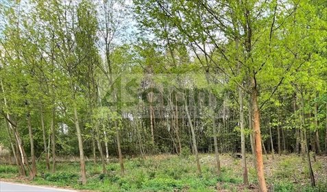 Działka 6 678 m² w Nadarzynie z MPZP - polecam! działka Nadarzyn