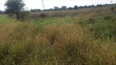 Działka budowlana na sprzedaż Pysznica, Brandwica 13m2 Foto 1
