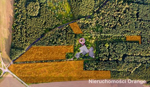 Działka budowlana na sprzedaż Dąbrowa, Dąbrowa 33 031m2 Foto 2