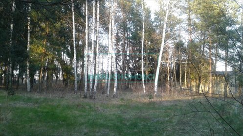 działka na sprzedaż 1500m2 działka Bieniewiec