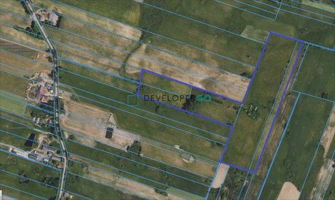 działka na sprzedaż 163852m2 działka Olszanka, Olszanka 14