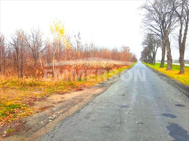 Działka przemysłowo-handlowa pod dzierżawę Cząstków Polski 2 500m2 Foto 2