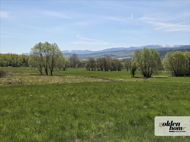 Działka 1340 m² z widokiem na Karkonosze i Izerów działka Grudza, Grudza/Kłopotnica