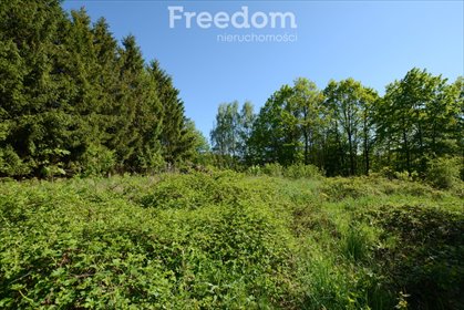 Działka 1404 m² pod dom w malowniczej Marcyporębie działka Marcyporęba