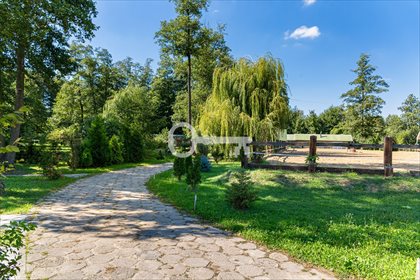 działka na sprzedaż 16872m2 działka Okrzeszyn