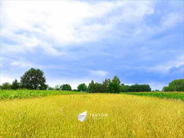 działka na sprzedaż 3500m2 działka Chrzanów Duży