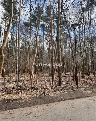 Sprzedam działkę leśną 1,01 ha w Aninie blisko centrum działka Warszawa, Anin, Teodora Axentowicza