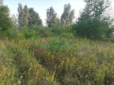 działka na sprzedaż 764m2 działka Kanie