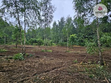 Działka rolna pod zabudowę 3673 m² Gutkowo polecam działka Olsztyn, Gutkowo, Gutkowo