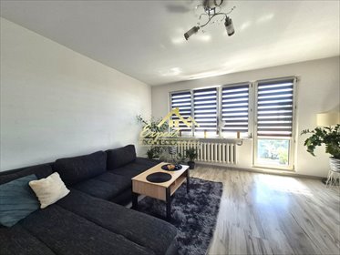 mieszkanie na sprzedaż 74m2 mieszkanie Iława