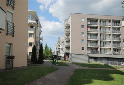 mieszkanie na wynajem 33m2 mieszkanie Poznań, Grunwald, Wojskowa