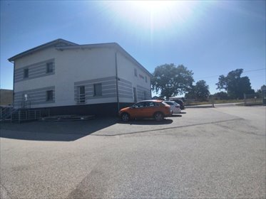 lokal użytkowy na wynajem 700m2 lokal użytkowy Gościejewo