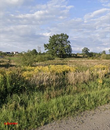 Działka budowlana 1491 m² z mediami, spokojna okolica działka Częstochowa, Rzeczna