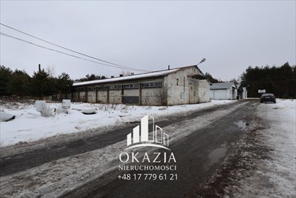 magazyn na wynajem 1054m2 magazyn Wysoka Głogowska