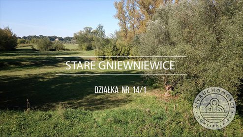 działka na sprzedaż 9600m2 działka Stare Gniewniewice