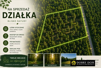 Duża działka 14,9 ha z lasami i pastwiskami działka Łazy Małe