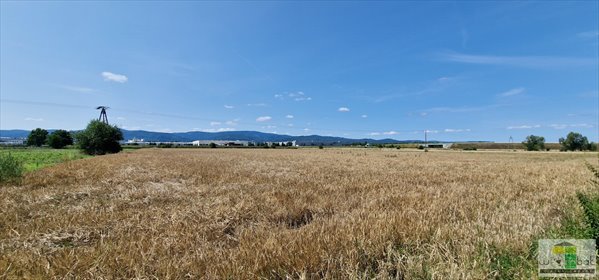 działka na sprzedaż 500m2 działka Dzierżoniów