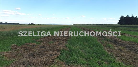 działka na sprzedaż 4734m2 działka Gliwice, Ostropa, OSTROPA, OKOLICE UL DASZYŃSKIEGO